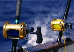 Deep Sea Fishing Rods